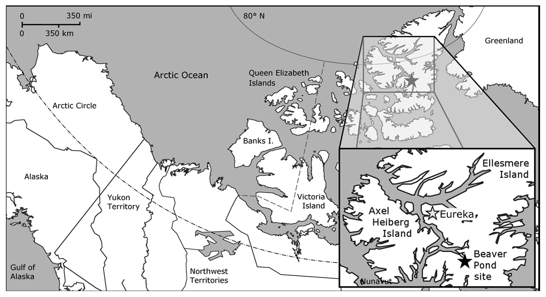 Архипелаг канадский арктический на карте северной америки. Канадский Арктический архипелаг на карте. Аксель Хейберг остров на карте Северной Америки. Остров Элсмир на карте Северной Америки.
