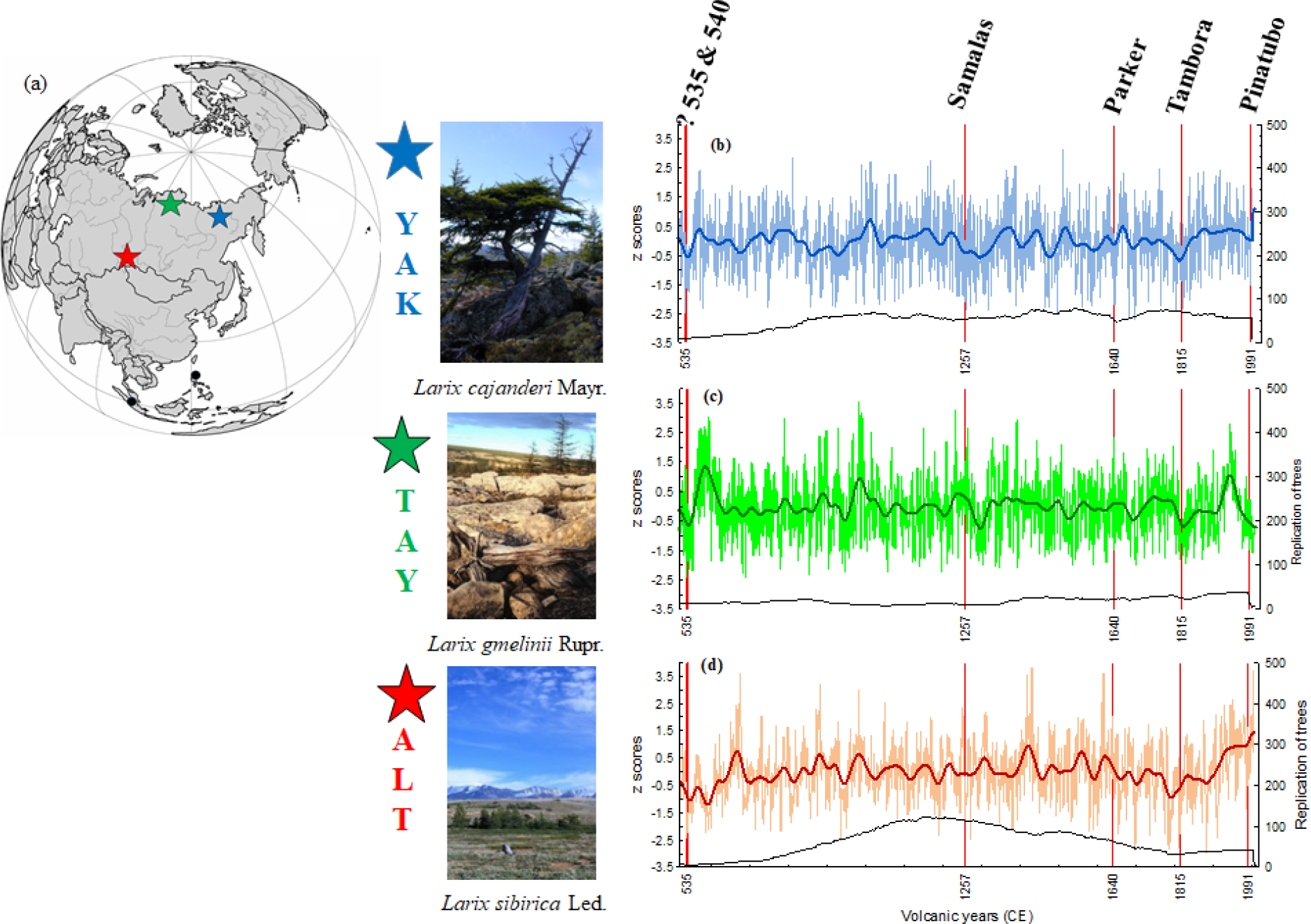 Cp Siberian Tree Ring And Stable Isotope Proxies As Indicators Of Temperature And Moisture Changes After Major Stratospheric Volcanic Eruptions