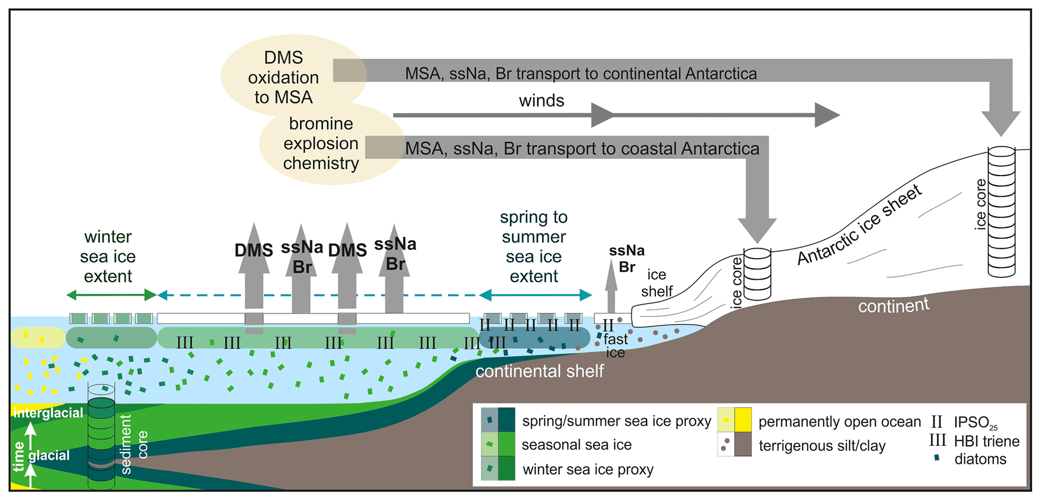 CP - Antarctic sea ice over the past 130 000 years – Part 1: a