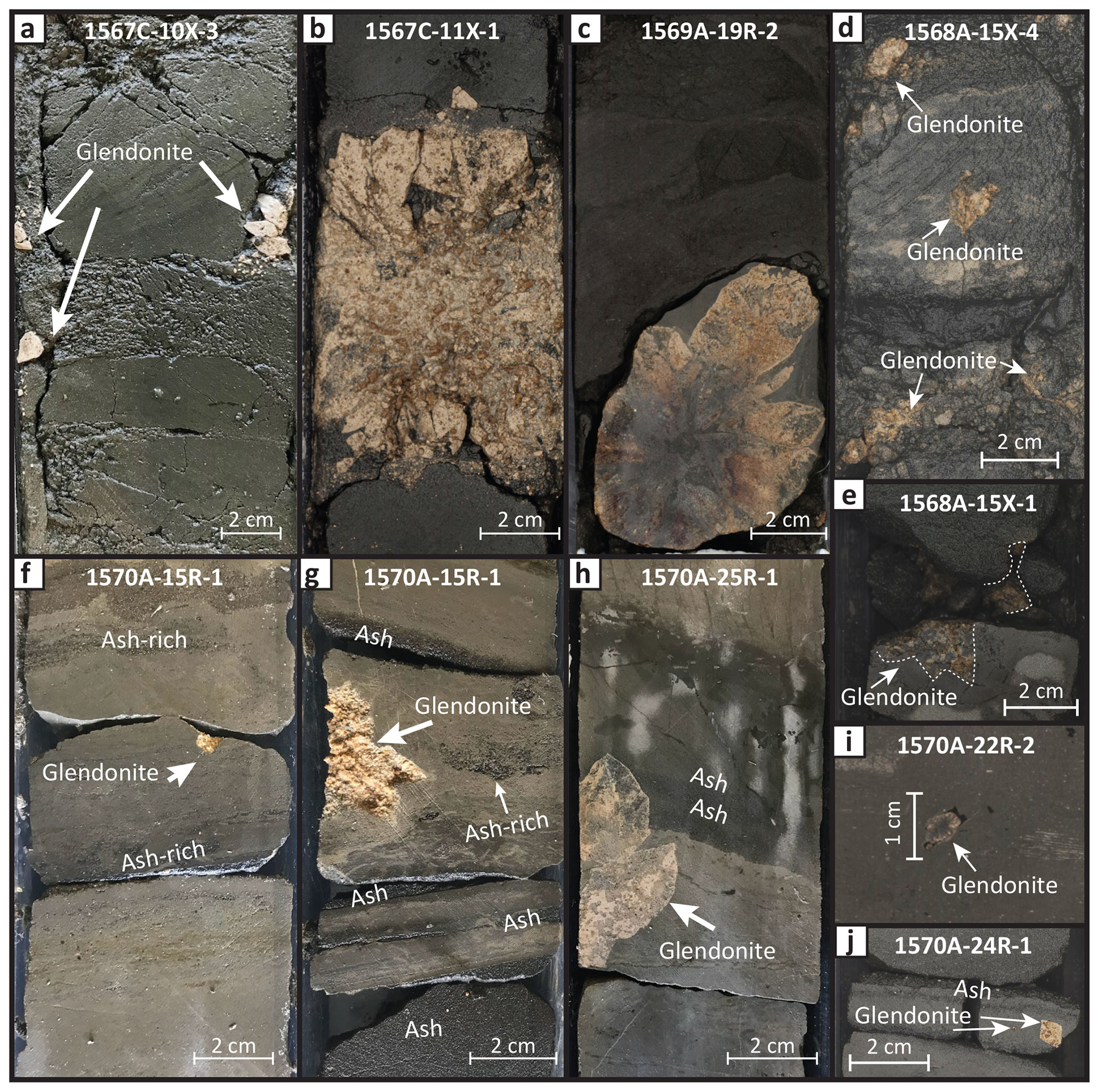 CP - Paleocene–Eocene age glendonites from the Mid-Norwegian Margin –  indicators of cold snaps in the hothouse?